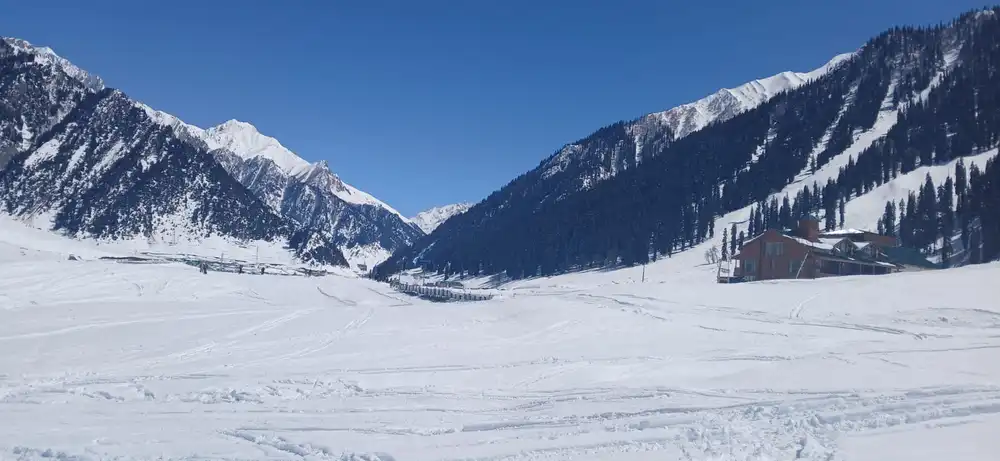 Breathtaking view of Sonmarg’s lush meadows framed by majestic snow-clad peaks.