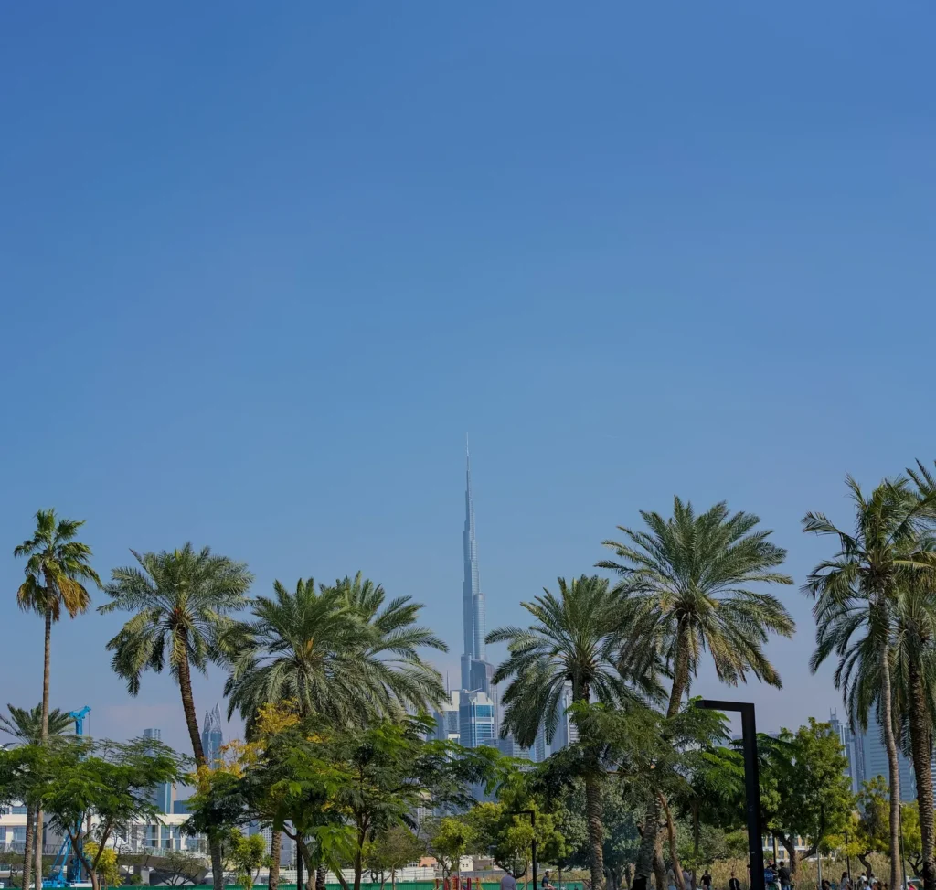 Palm trees in Safa Park with the Burj Khalifa in the distance
