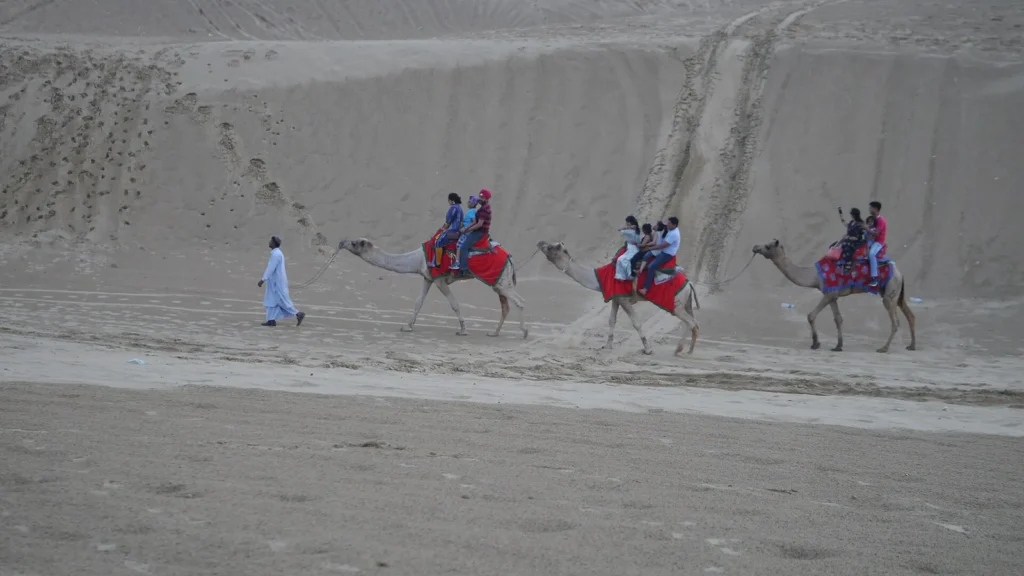 A line of camels with riders crossing the Sam sand dunes